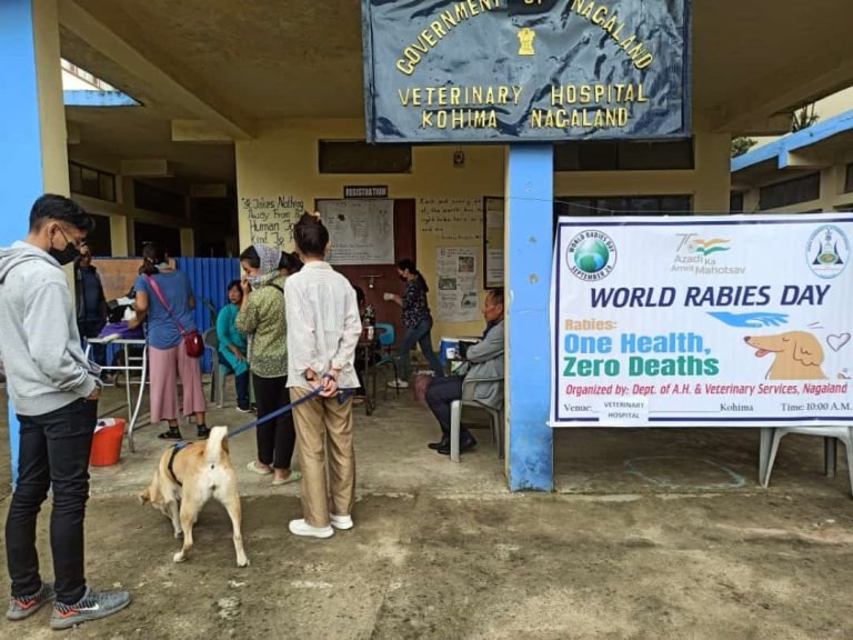 Free Anti-rabies vaccination for pets in various districts on World ...