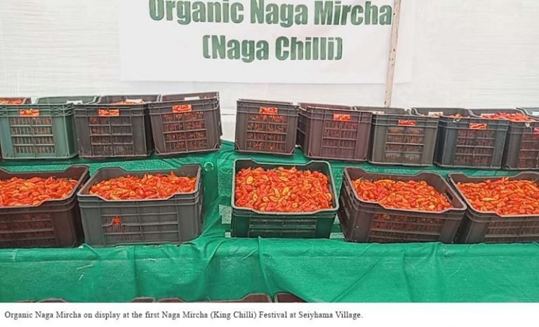 Seiyhama Village hosts the first ever Naga Mircha Festival - Nagaland ...