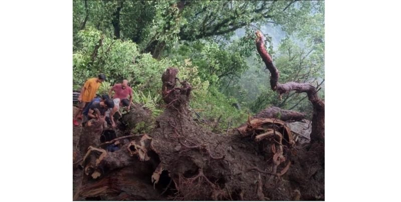 Sikkim: Woman dies after heavy rain, strong wind create havoc in Lower ...