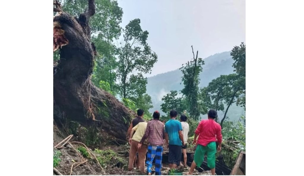 Sikkim: Woman dies after heavy rain, strong wind create havoc in Lower ...