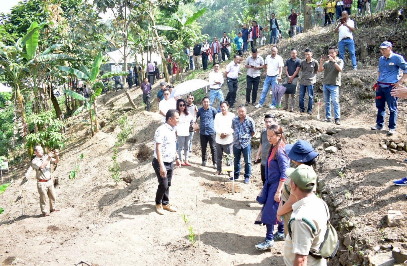 World Environment Day 2023: Mokokchung program highlights need for ...