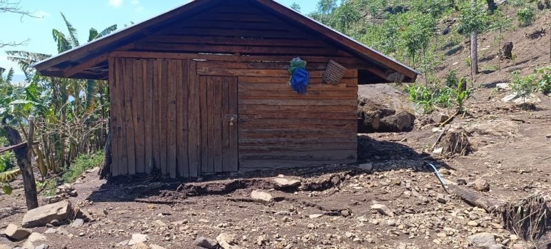 Heavy rain damages homes, roads and paddy fields in Noklak - Nagaland ...