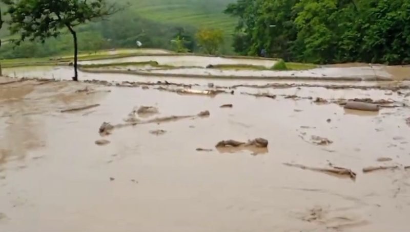 Flash floods and mudslides damage hundreds of hectares of paddy fields ...