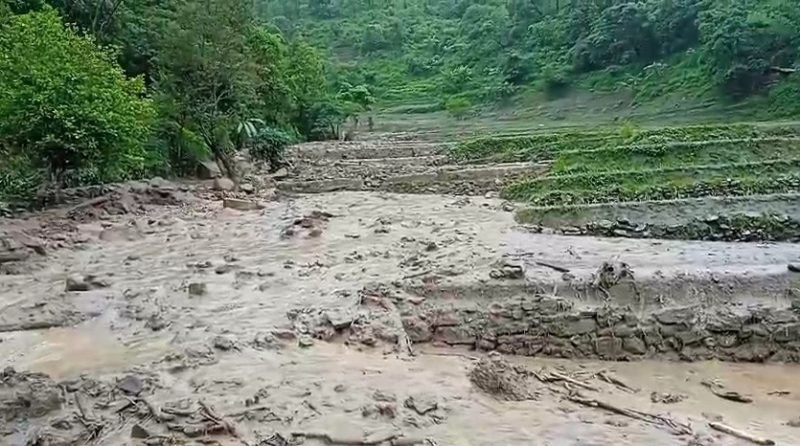 Flash floods and mudslides damage hundreds of hectares of paddy fields ...