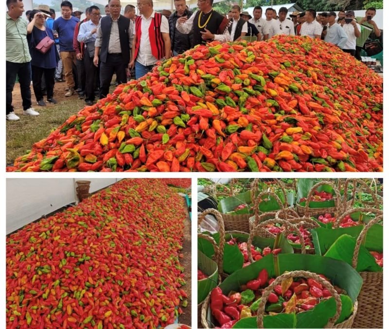 Seiyhama to host 3rd edition of Naga Mircha Festival (King Chilli) on ...